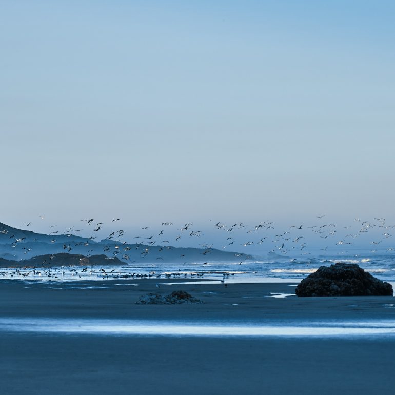 Neptune State Scenic Viewpoint