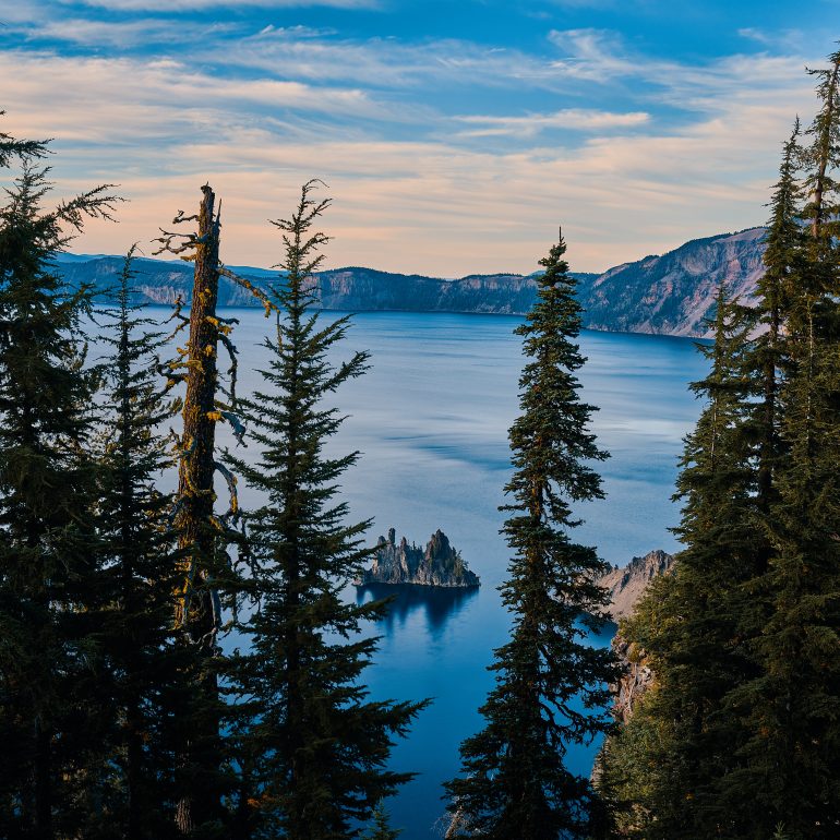 Phantom Ship through the woods