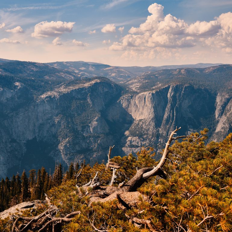 Missing Yosemite Falls from Sentinel Dome