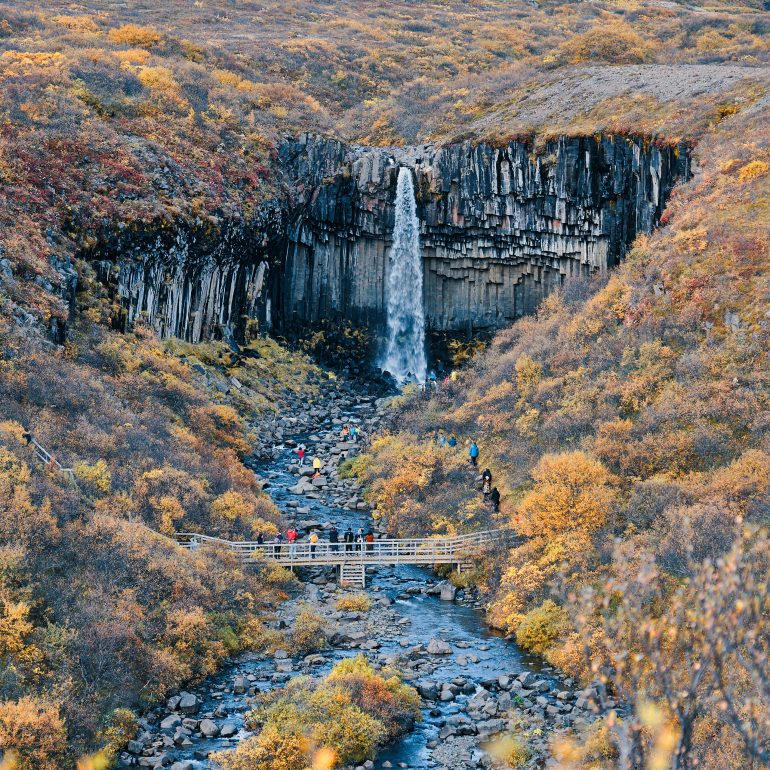 Svartifoss