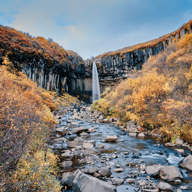 Svartifoss