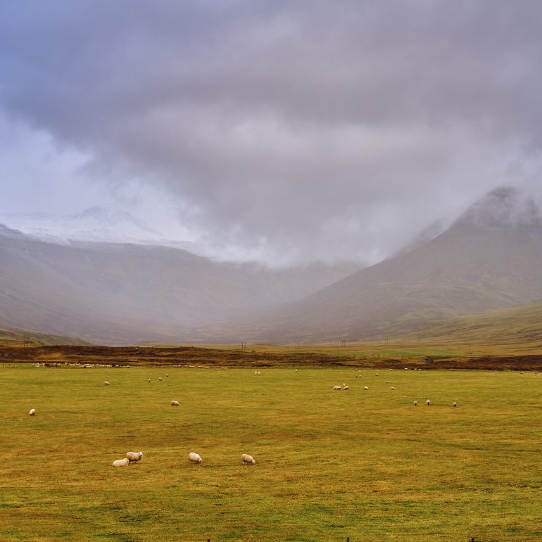 Fáskrúðsfjörður