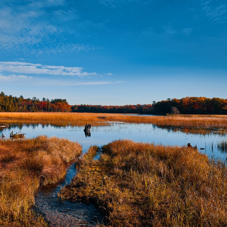 Cook Dam Pond