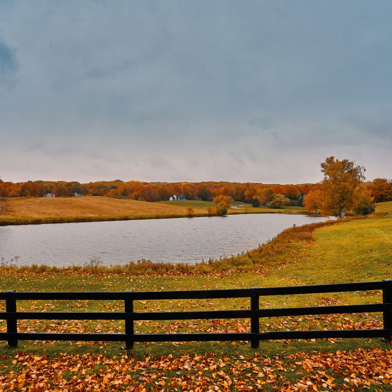 Good Hart to Harbor Point