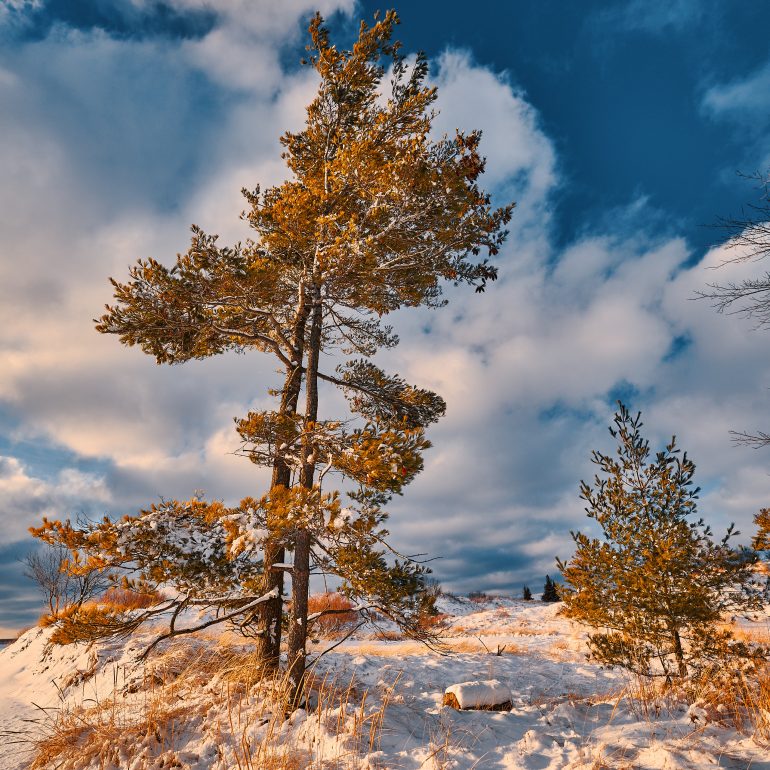 Ludington State Park