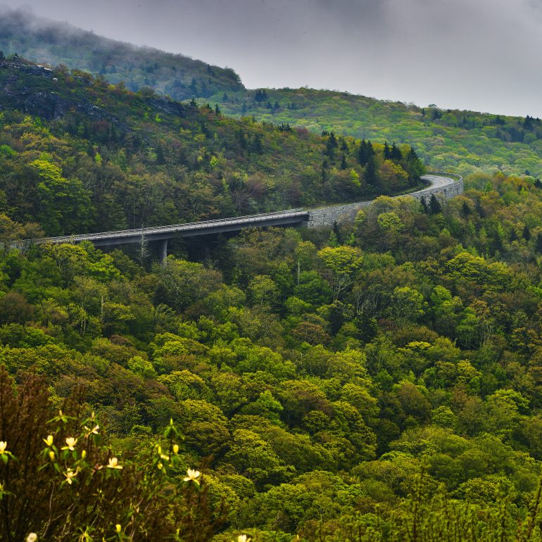 Blue Ridge Parkway