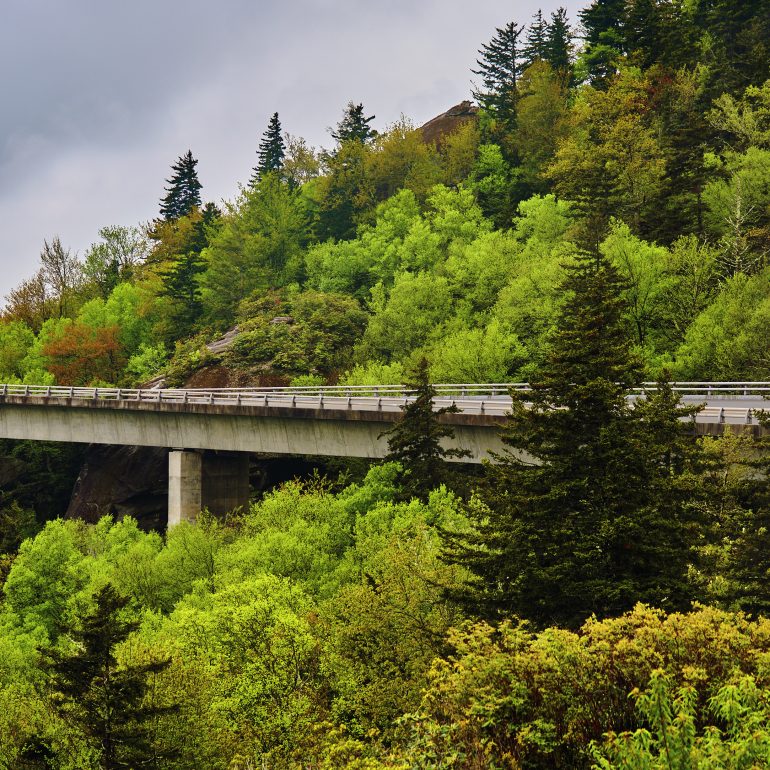 Linn Cove Viaduct