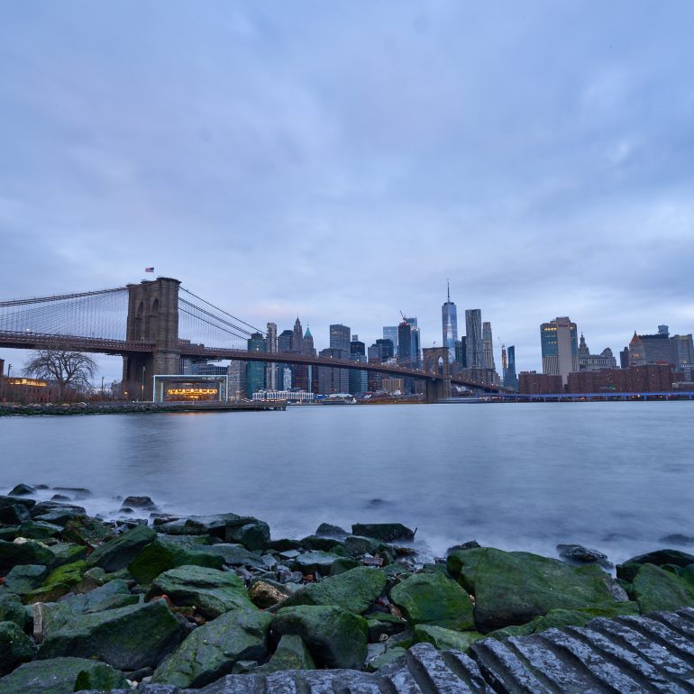 Lower Manhattan Skyline