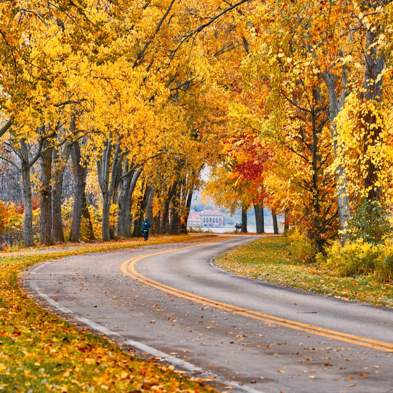 Erie from Presque Isle