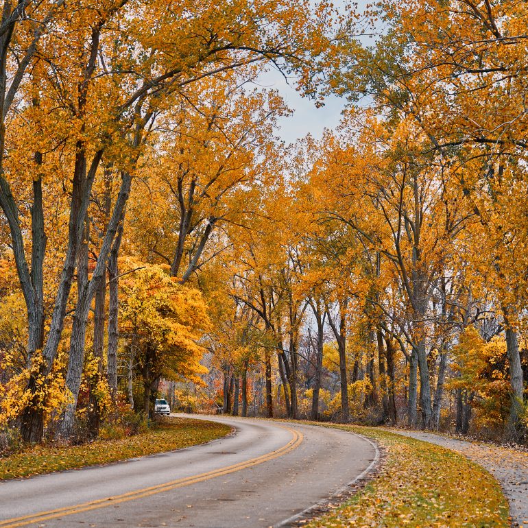 Just Another Autumn in Presque Isle
