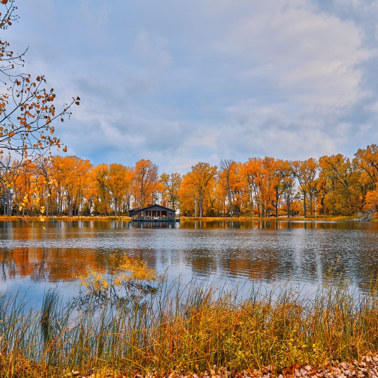 Pavilion and placid lake