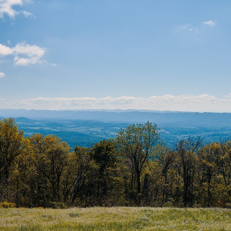 Signal Knob Overlook