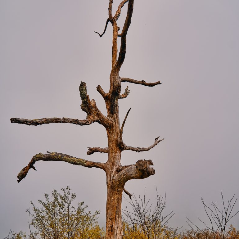 Little Devis Stairs Overlook