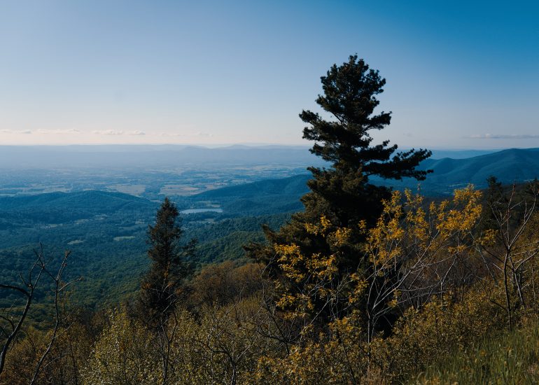 Jewell Hollow Overlook