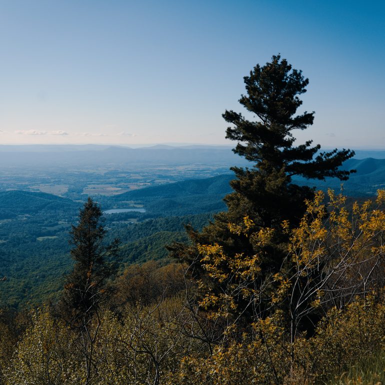 Jewell Hollow Overlook