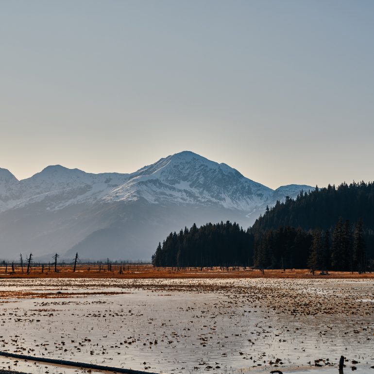 Turnagain Arm Along Seward Highway