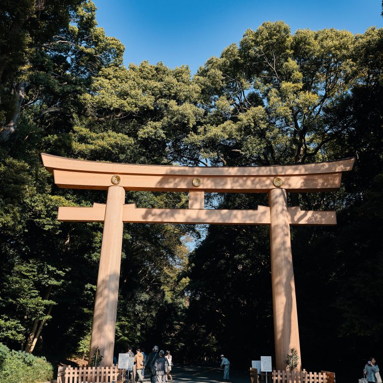 Meiji Jingu Ichino Torii