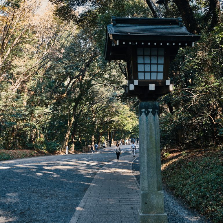 Meiji Jingu Lantern
