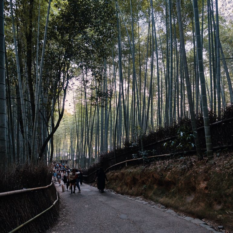 Arashiyama Bamboo Grove