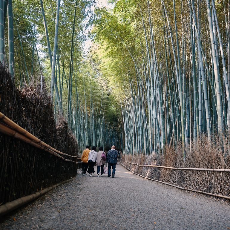 Arashiyama Bamboo Grove
