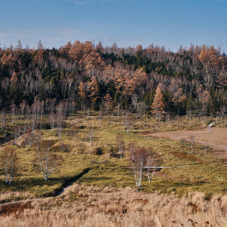 Tanohara-Shitsugen Marsh