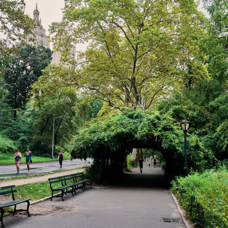 Runners in Central Park