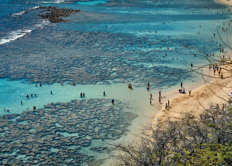 Hanauma Bay