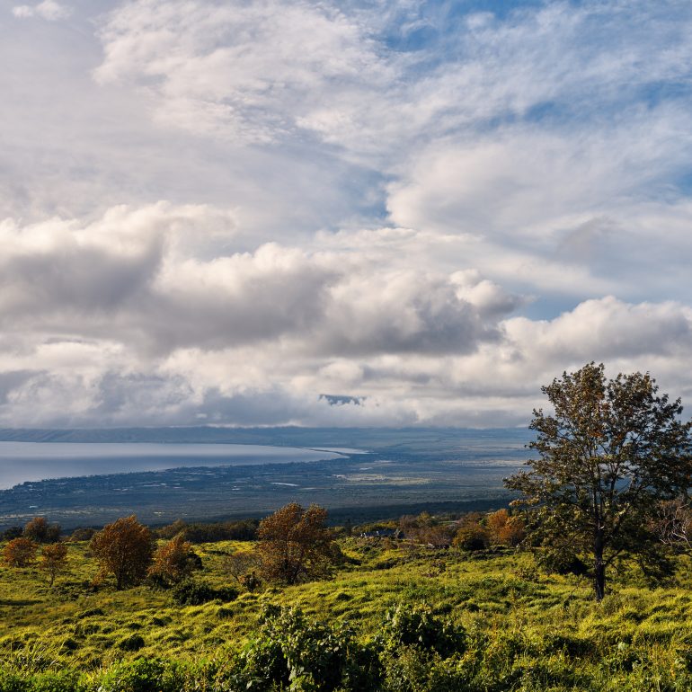Ulupalakua Scenic Overlook