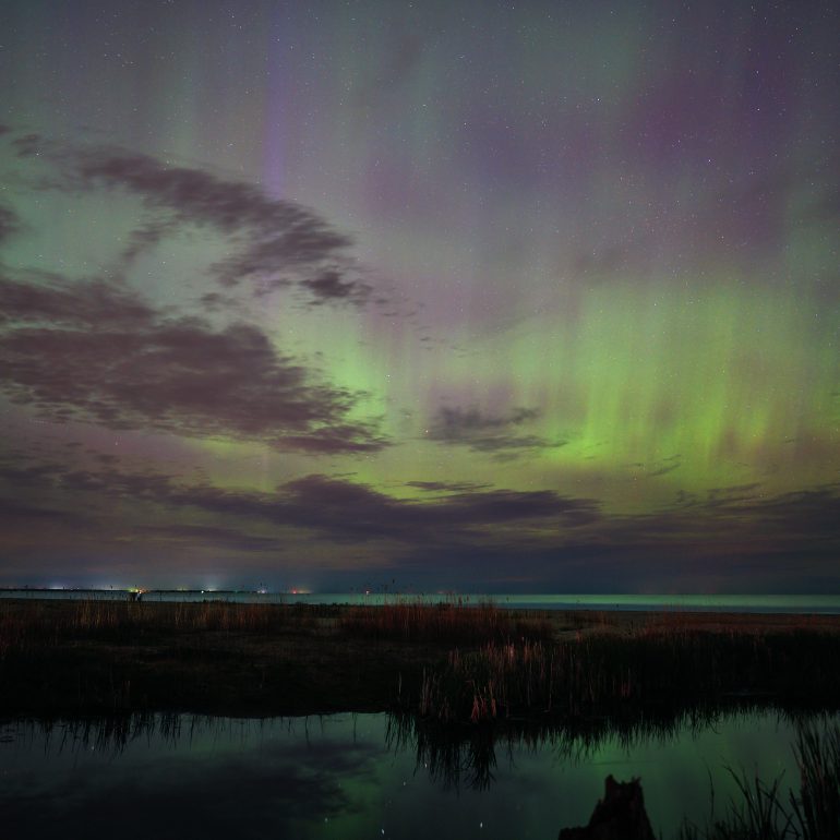 Dancing Lights Begins