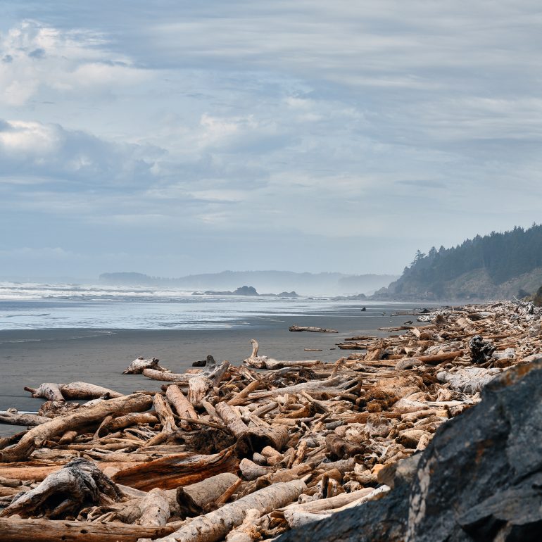 Kalaloch Beach