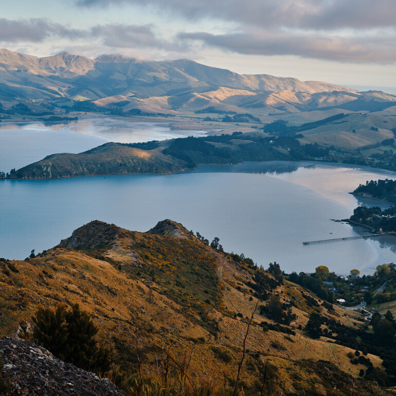 Lyttelton Harbour