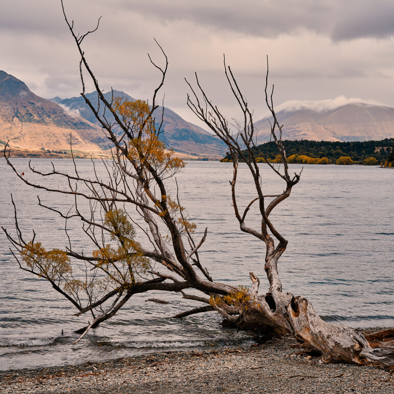 Drive to Glenorchy