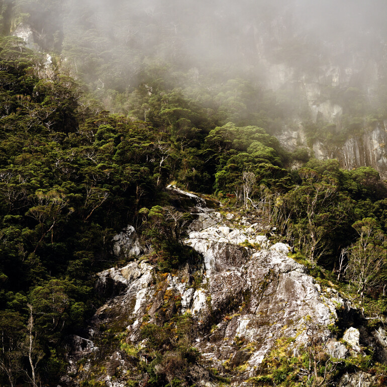Small waterfalls and forests