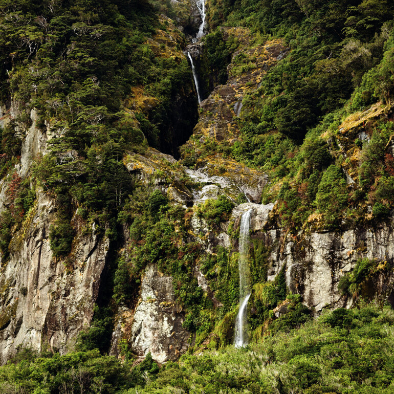 Small waterfalls and forests in Milford Sound