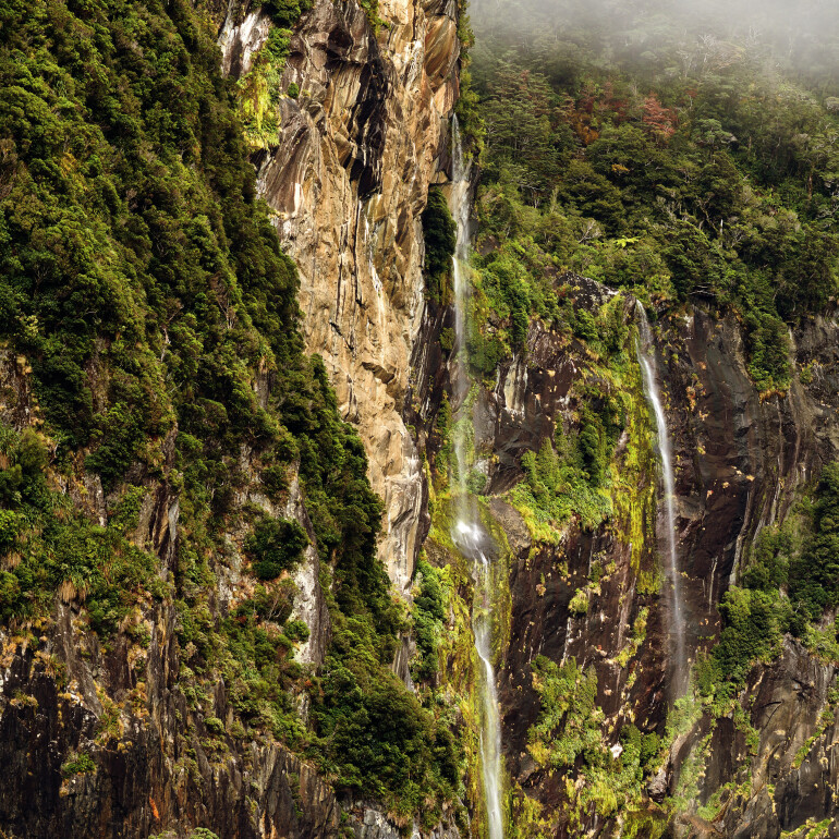 Small waterfalls and forests in Milford Sound
