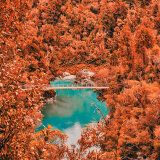 Hokitika Gorge